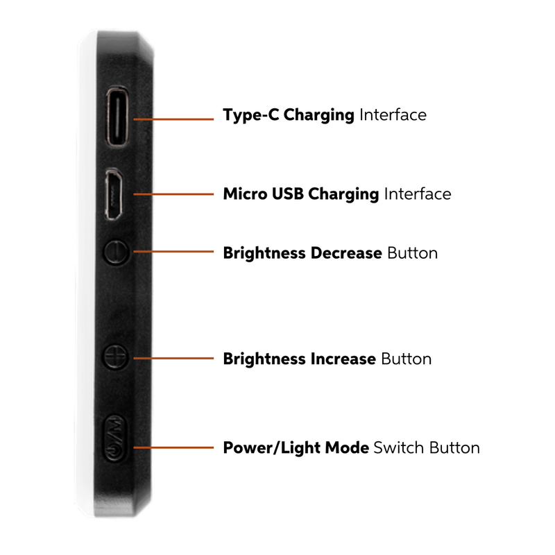 Looth LED Light & Neck Mount